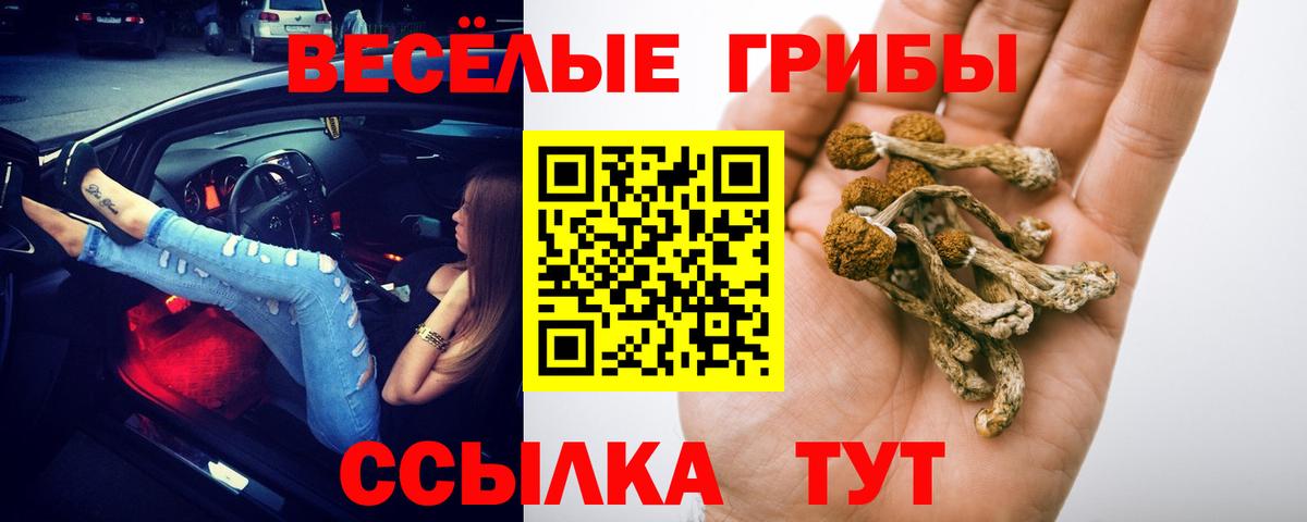 Псилоцибиновые грибы ЛСД Ликино-Дулёво